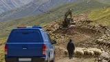 Bingöl’den Elazığ’a gelen çoban ve 200 hayvan kurtarıldı