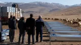 Karaman'da 287 üreticiye 700 akıllı oluk: Küçükbaş hayvancılığa 4 milyon TL destek