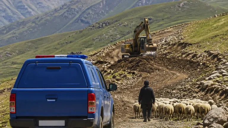 Bingöl’den Elazığ’a gelen çoban ve 200 hayvan kurtarıldı