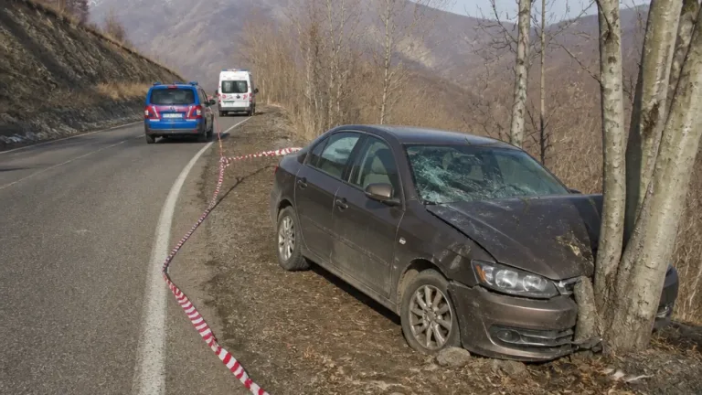 Bingöl-Erzurum yolunda otomobil ağaçlara çarptı: 2 yaralı